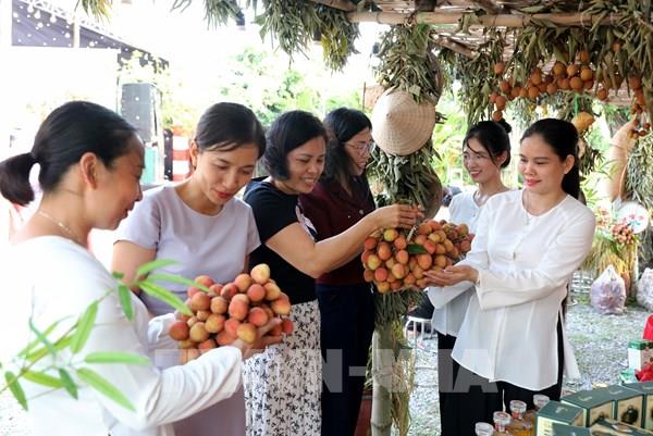 Nhiều hoạt động quảng bá, xúc tiến tiêu thụ vải thiều sớm