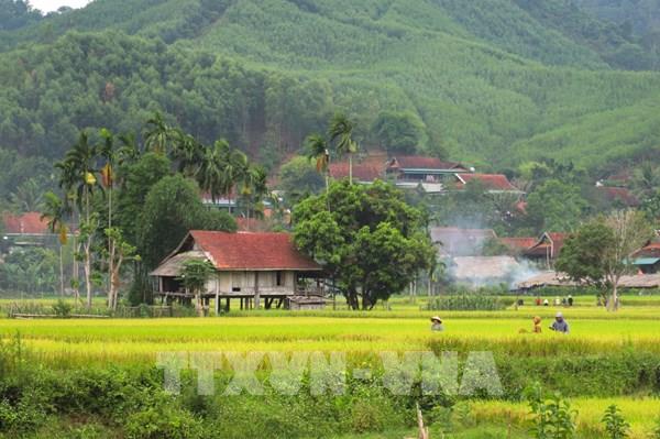 Khám phá bản làng người Thái giấu mình giữa đại ngàn Pù Huống