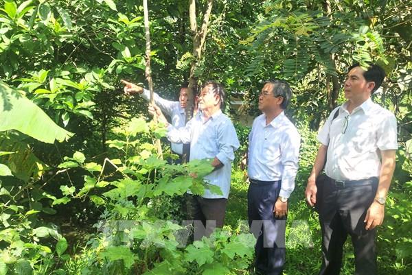Vĩnh Long: Khảo sát và xây dựng phương án bảo tồn vườn chim Hai Chìa