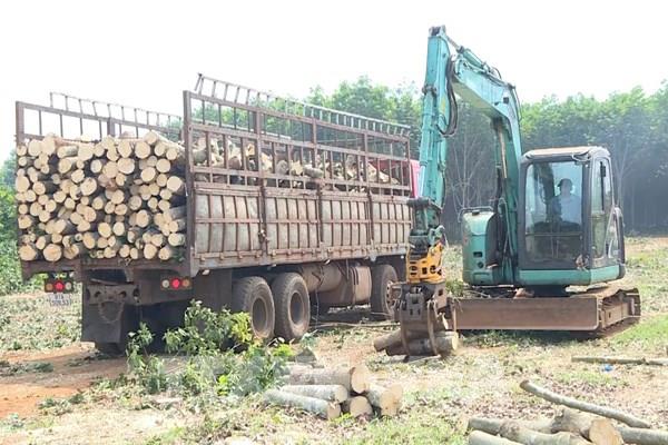 Tái định cư đồng bộ để giữ tiến độ cao tốc Quy Nhơn – Pleiku
