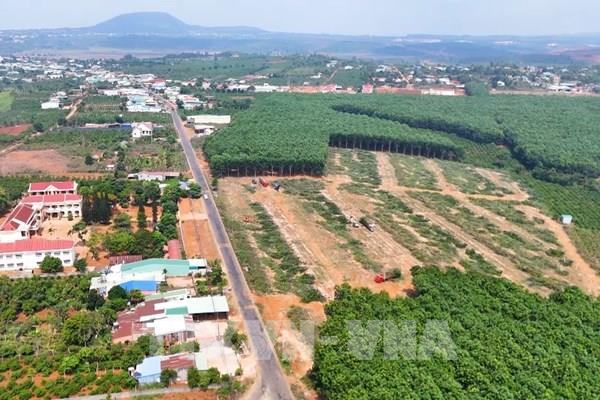 Khu đất vàng K200 tại Quy Nhơn Nam được đấu giá hơn 317 tỷ đồng