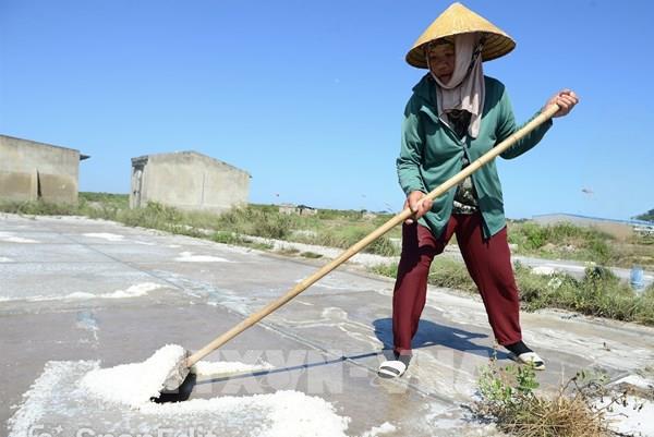 Giữ nghề muối trăm năm giữa nắng lửa xứ Thanh