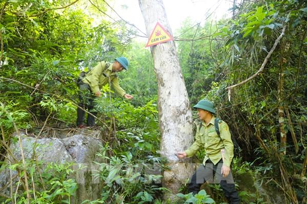 Căng mình "gác lửa" bảo vệ rừng khu dự trữ sinh quyển Pù Huống (Nghệ An)