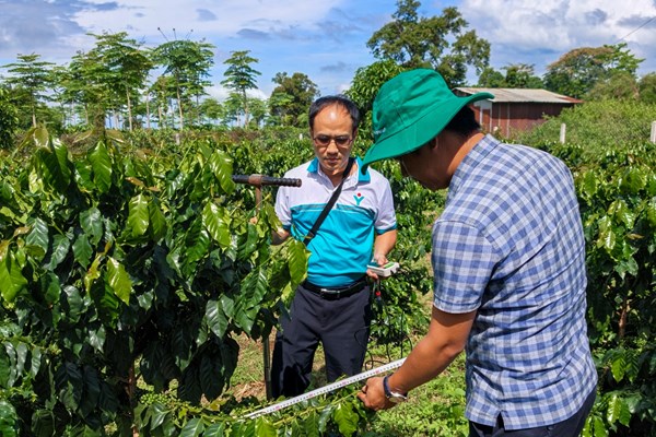 Phú Mỹ tăng cường hợp tác phát triển nông nghiệp tại Lào