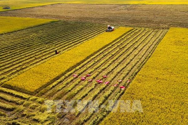 Tây Ninh mời gọi đầu tư 32 khu đất phát triển nông nghiệp công nghệ cao