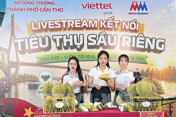 Cần Thơ hỗ trợ nhà vườn kết nối doanh nghiệp, siêu thị để bán sầu riêng