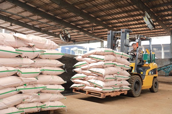 Phân bón hữu cơ Greenma khẳng định vị thế trong cung ứng sản phẩm chất lượng cao
