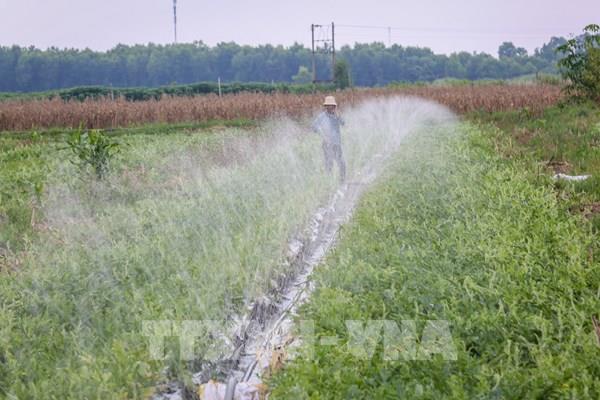 Giữa cao điểm nắng nóng, Tây Ninh hóa giải hạn hán bằng cách nào?