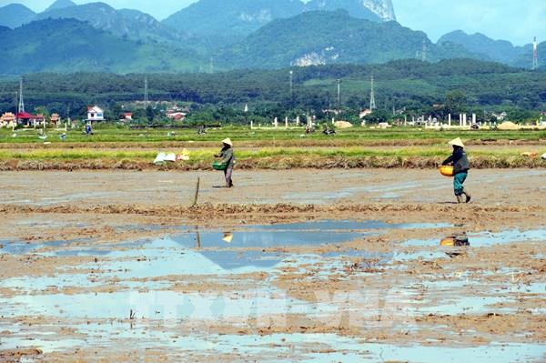 Nắng nóng kéo dài gây nhiều áp lực lên đời sống và sản xuất