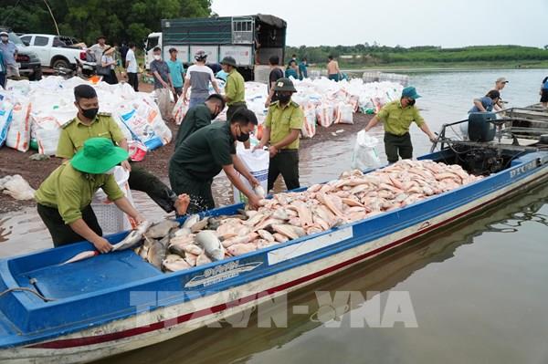 Hướng dẫn người dân khắc phục sau sự cố hơn 200 tấn cá chết trên hồ Trị An​
