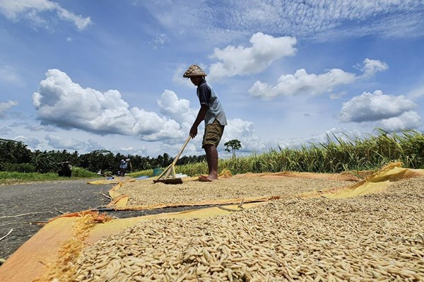 Chiến lược an ninh lương thực trong bối cảnh xung đột - Bài 2: Indonesia tạo đòn bẩy ảnh hưởng giữa biến động toàn cầu