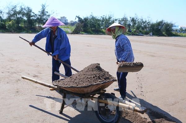 Diêm dân Ninh Bình được mùa muối