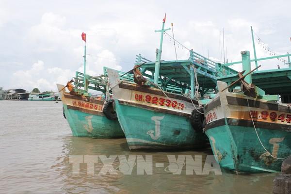 Khắc phục “thẻ vàng” IUU: Siết chặt xử lý vi phạm thủy sản theo quy định mới