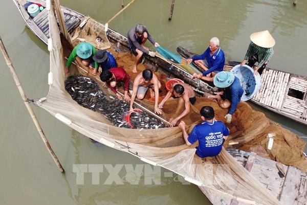 Nghề dỡ chà - nét đẹp văn hóa sông nước miền Tây