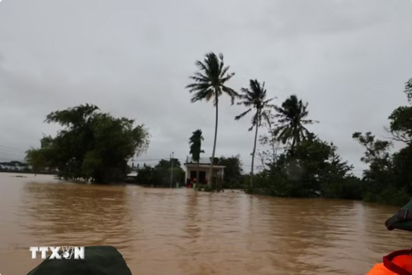 Đà Nẵng nghiên cứu mô hình “thành phố bọt biển” để giảm ngập lụt đô thị