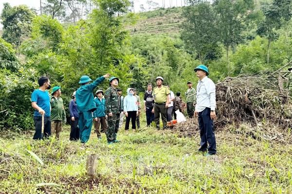 Lâm Đồng thu hồi đất lâm nghiệp bị lấn chiếm trái phép