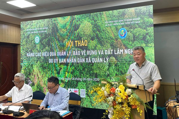 Hơn 3 triệu ha rừng cần sớm được xác lập chủ thể quản lý