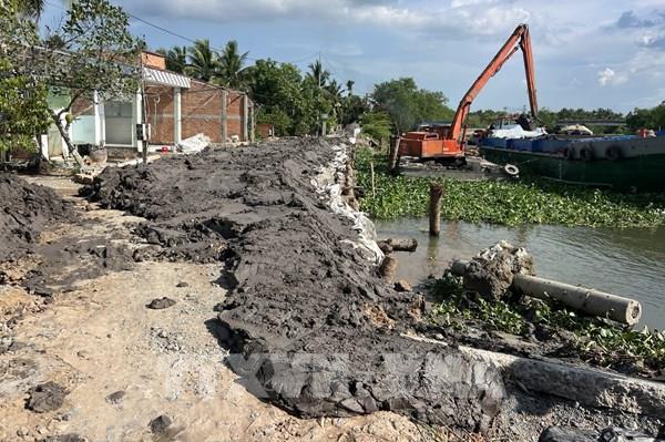 Đồng Tháp dựng "kè xanh" giữ đất: Khi người dân miền Tây nương tựa vào tự nhiên