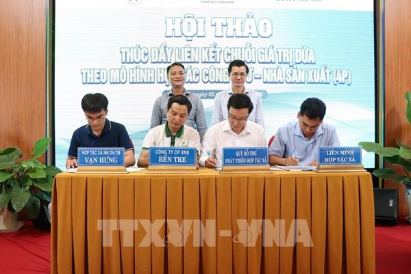 Mô hình 4P: Phao cứu sinh đưa ngành dừa miền Tây xuất ngoại