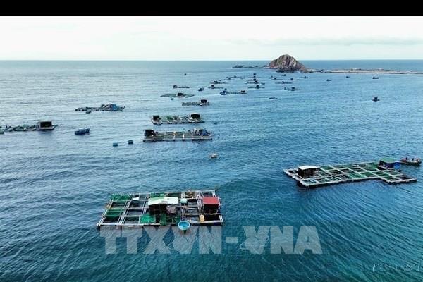 Biển xanh, kinh tế mạnh: Tầm nhìn phát triển bền vững của Việt Nam