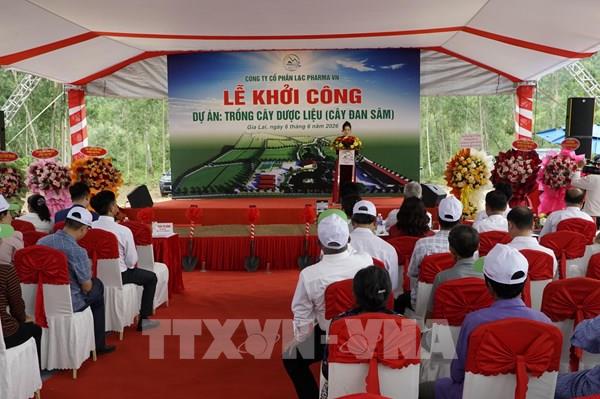 Khởi công dự án 139 tỷ đồng trồng cây dược liệu tại Gia Lai