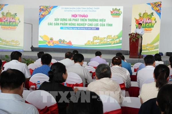 Nông sản Đồng Tháp: Khi thương hiệu quyết định túi tiền nhà nông