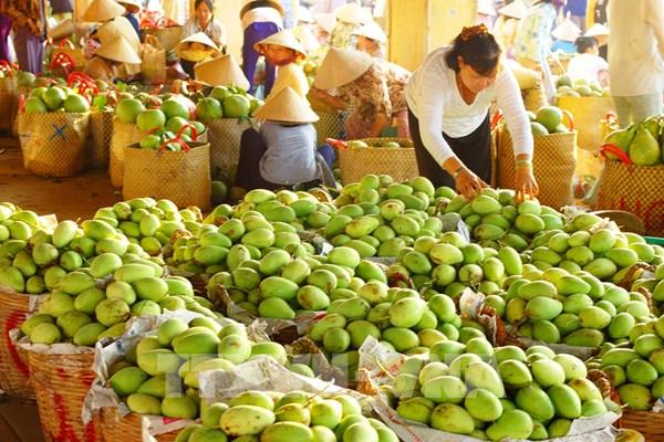 Đa dạng thị trường, nâng cao giá trị để thúc đẩy xuất khẩu nông sản