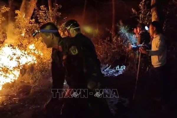Cháy rừng ở Nghệ An, nguy cơ thiệt hại tài nguyên và kinh tế