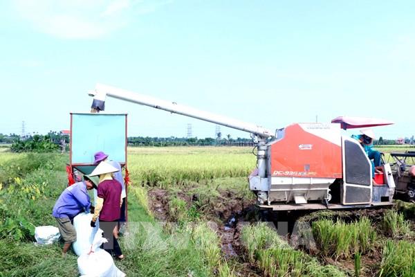  Cơ giới hóa mở đường cho vùng lúa lớn, nâng giá trị nông sản Hưng Yên