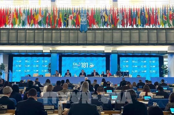 FAO: Việt Nam là ví dụ tiêu biểu trong việc triển khai hiệu quả hợp tác Nam - Nam