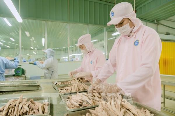 Xuất khẩu tỷ USD, doanh nghiệp An Giang vẫn lo gọng kìm mới