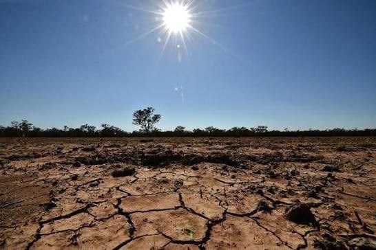 Hiện tượng El Nino đã bắt đầu xuất hiện ở Thái Bình Dương