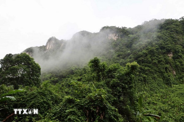 Phong Nha vào top điểm đến thiên nhiên nổi bật châu Á 2026