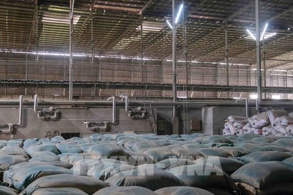 Cần Thơ xử phạt 2 công ty xay xát gạo bủa vây bụi bẩn vào dân