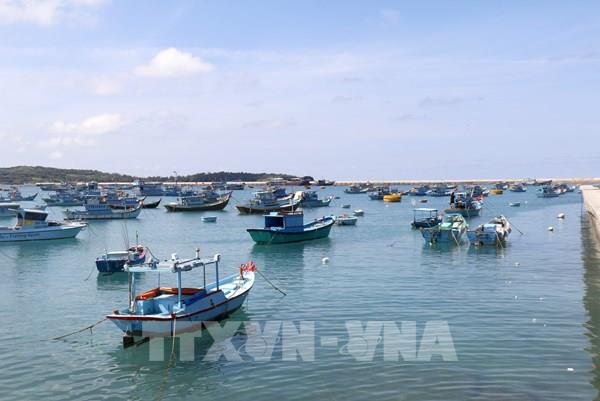 Nghị quyết 36-NQ/TW: Đưa kinh tế biển trở thành động lực phát triển chiến lược