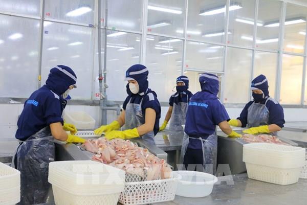 Mở lối xuất khẩu sang thị trường Trung Đông và Nam Á