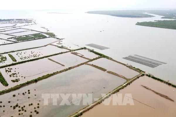 Hưng Yên: Khơi dậy động lực từ biển - bứt phá tăng trưởng hai con số