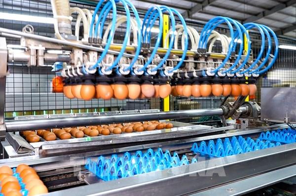 Hình thành các doanh nghiệp công nghệ chiến lược quy mô lớn giai đoạn 2026-2030