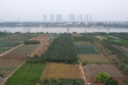 Hà Nội mở cơ chế khai thác đất bãi sông phục vụ nông nghiệp sinh thái