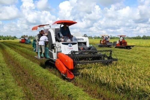 Cần Thơ tập trung vào ba khu vực kinh tế chủ lực