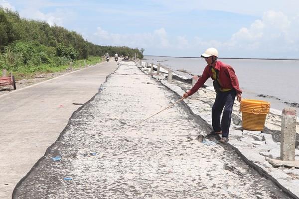 Cà Mau: Ngư dân miền biển Tây trúng đậm mùa khai thác ruốc biển