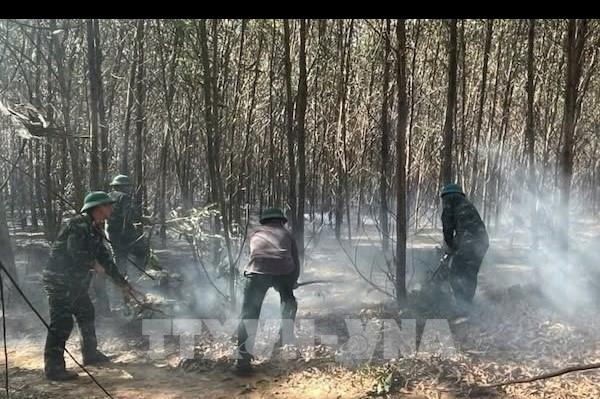Quảng Trị liên tiếp xảy ra các vụ cháy rừng tại xã Hiếu Giang