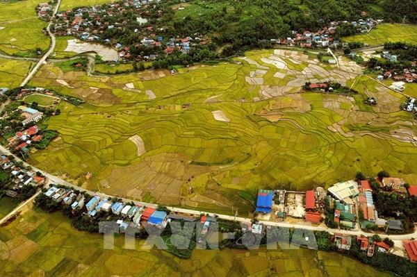 Cánh đồng lớn nhất Sơn La