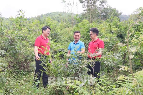 Tín dụng xanh mở đường nông nghiệp bền vững