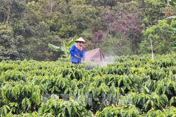 Khi vùng đất khó trở thành động lực vươn mình