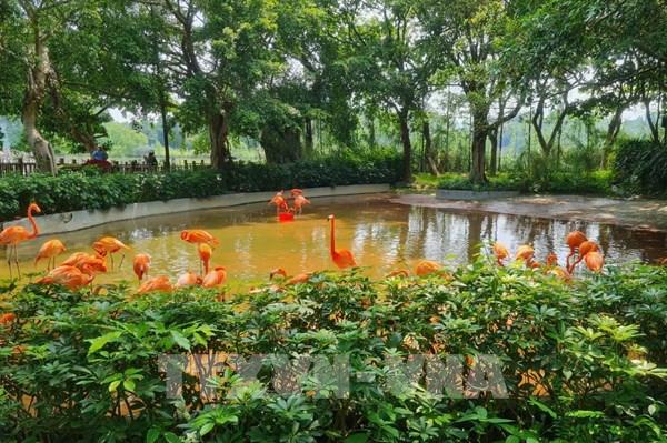 Khám phá Trung tâm bảo tồn chim quý hiếm ở Hoa Nam (Trung Quốc)