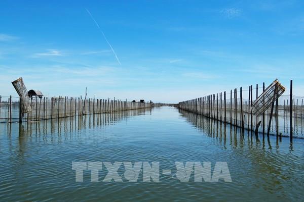 Bình yên trên Đầm Chuồn