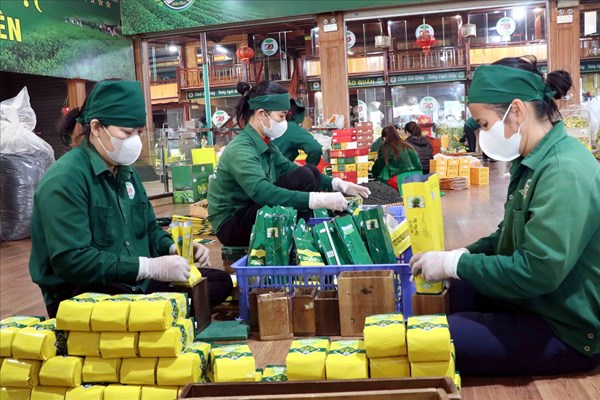 Thái Nguyên thúc đẩy kinh tế tư nhân tiếp cận vốn, đất đai