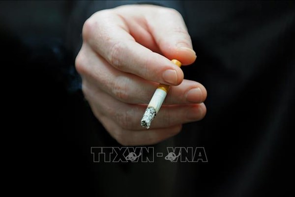 Xây dựng môi trường du lịch xanh thân thiện, không khói thuốc
