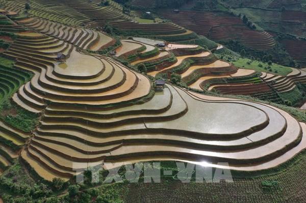 Chiêm ngưỡng ruộng bậc thang ở vùng cao Mù Cang Chải